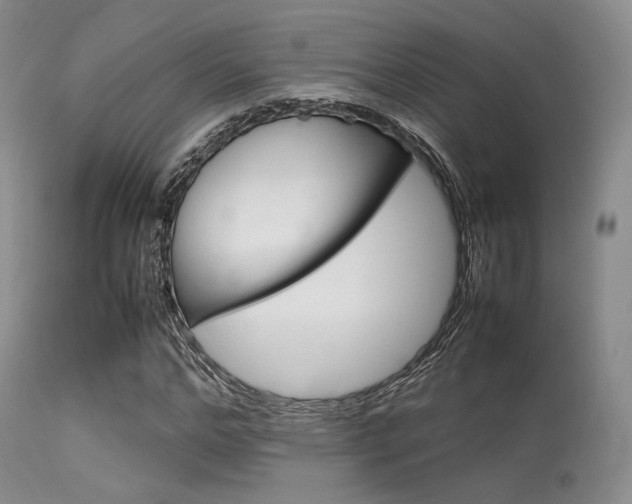 X0000113620968200909181112