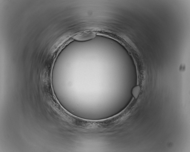 X0000113620969200909181112