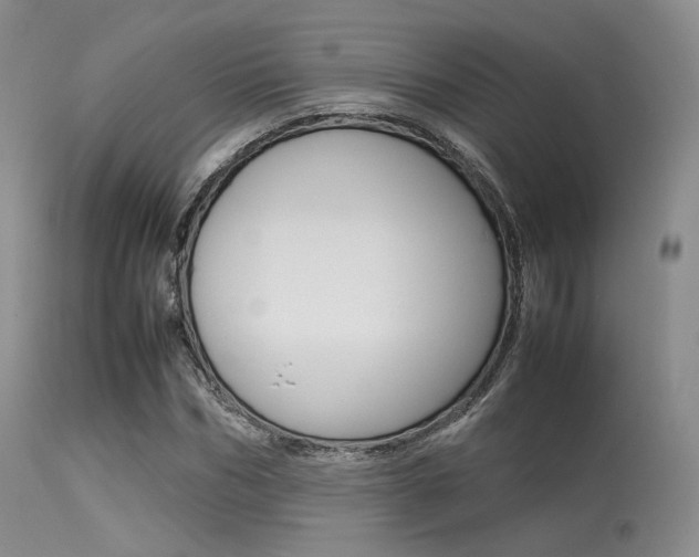 X0000113620970200909181112