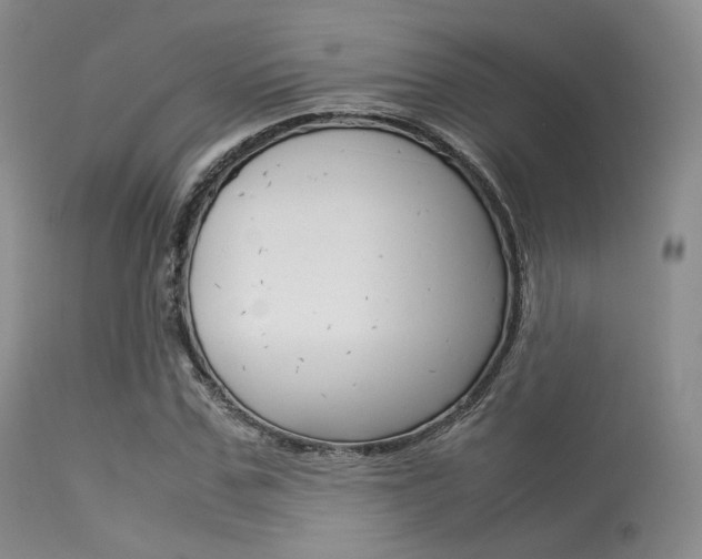 X0000113620971200909181112