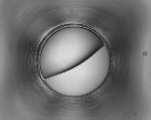 X0000113620972200909181112