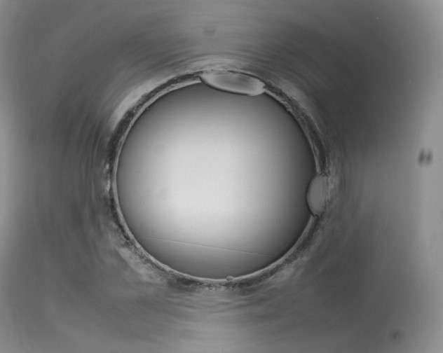 X0000113620973200909181111