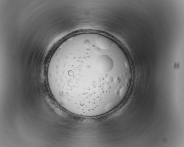 X0000113620974200909181111