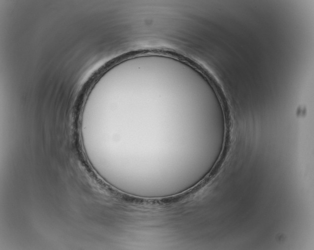 X0000113620975200909181111