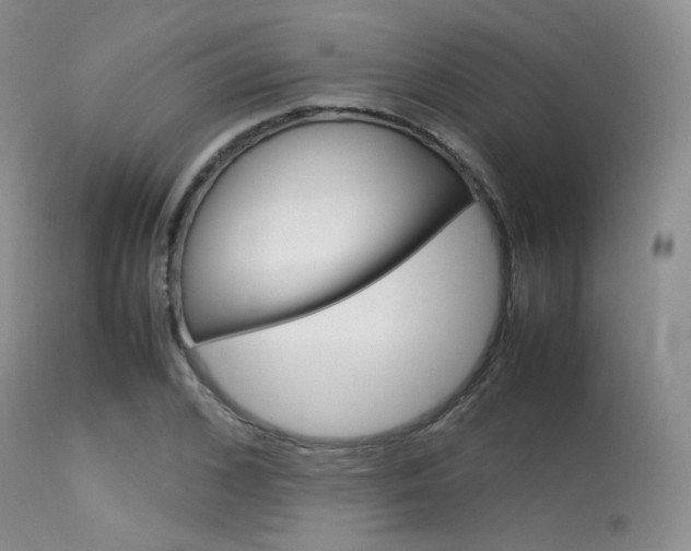 X0000113620976200909181111