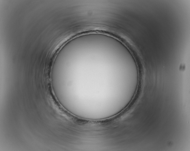 X0000113620977200909181111