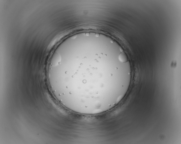 X0000113620978200909181111