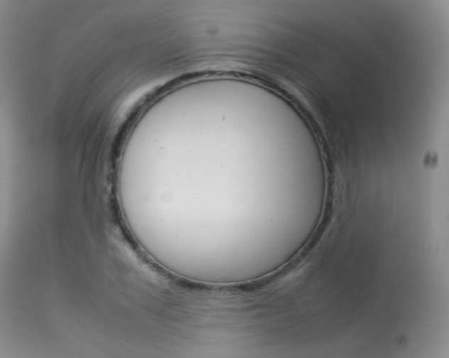 X0000113620979200909181111