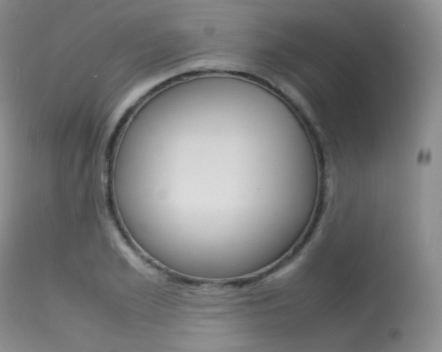 X0000113620981200909181111