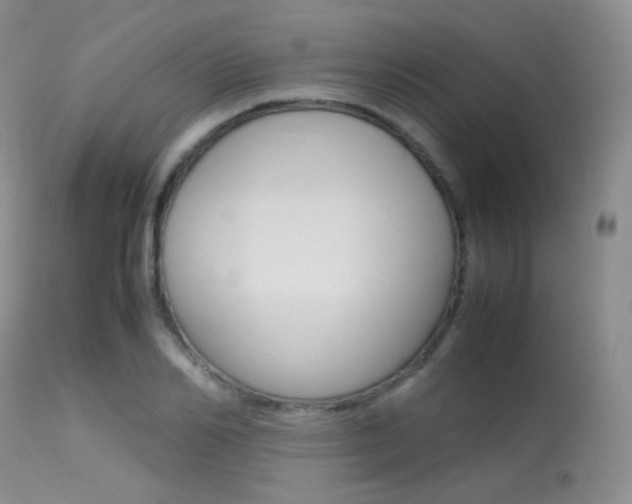X0000113620982200909181111
