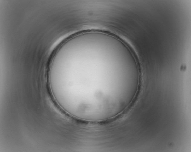 X0000113620983200909181111