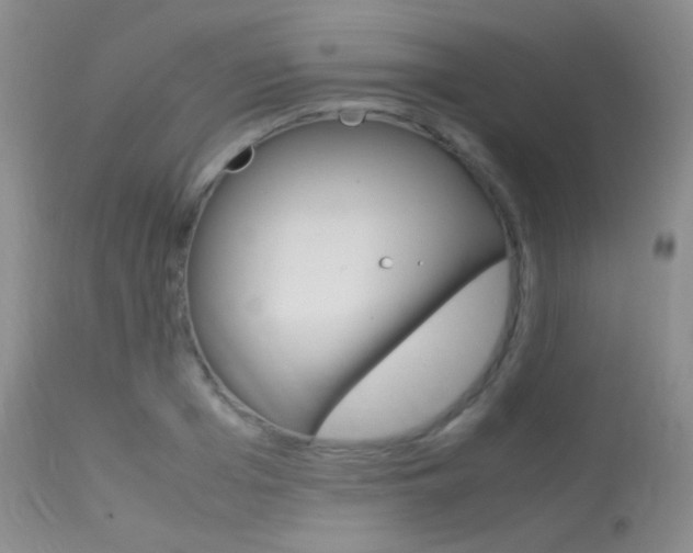 X0000113620985200909181111