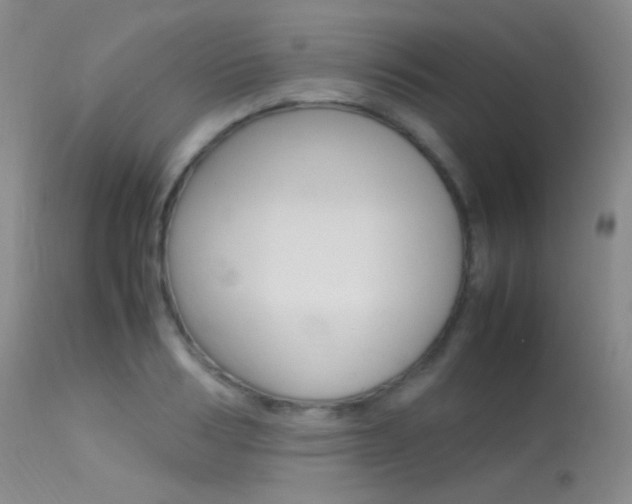 X0000113620986200909181111