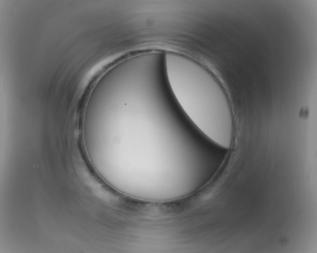 X0000113620987200909181111