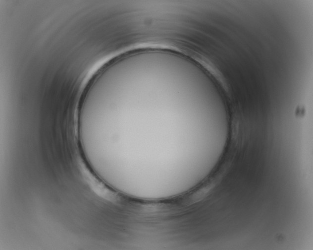 X0000113620988200909181111