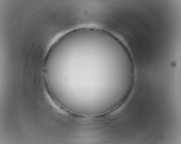 X0000113620989200909181111