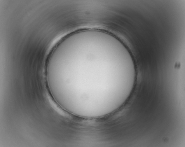 X0000113620990200909181111