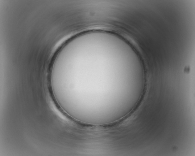 X0000113620991200909181111