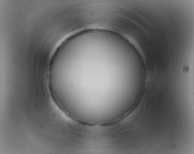 X0000113620992200909181111