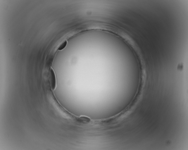 X0000113620993200909181111