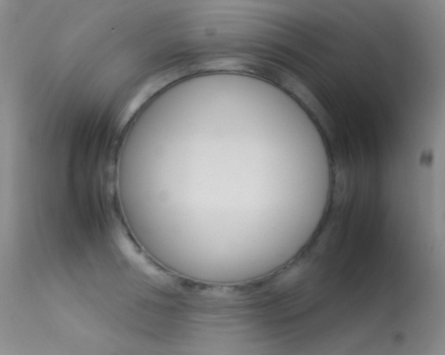 X0000113620994200909181111