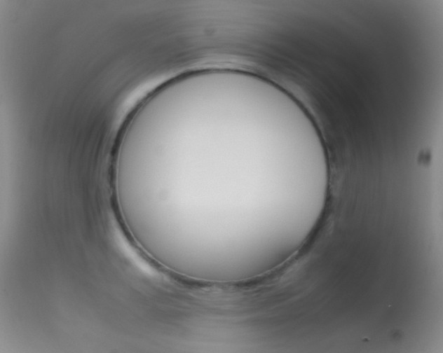 X0000113620995200909181111