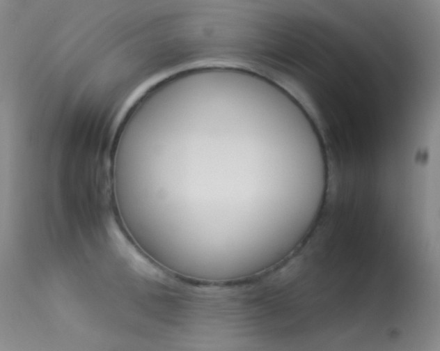 X0000113620996200909181111