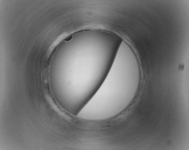 X0000113620997200909181111