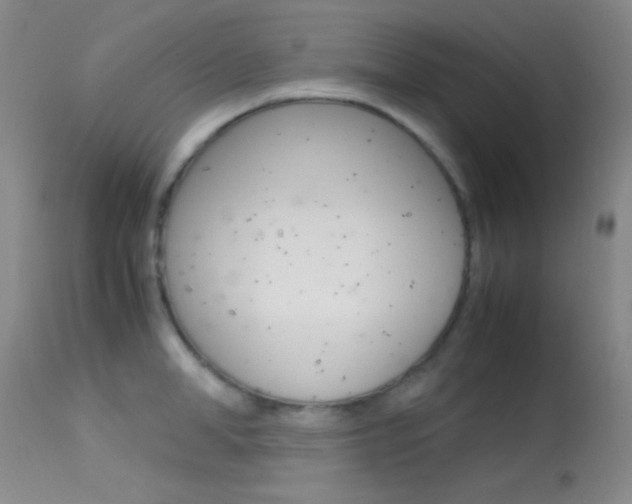 X0000113620998200909181111