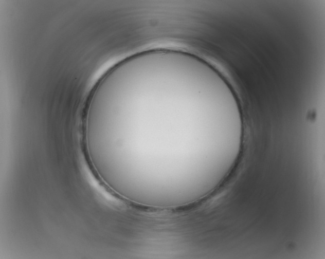 X0000113620999200909181111