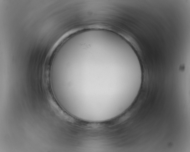 X0000113621000200909181111