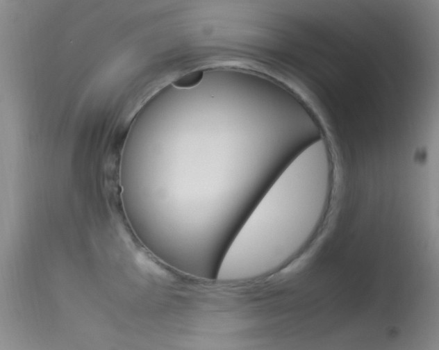 X0000113621001200909181111