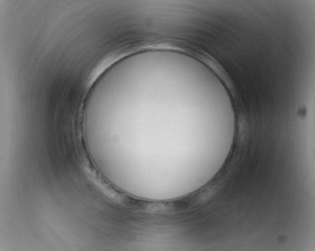 X0000113621002200909181111