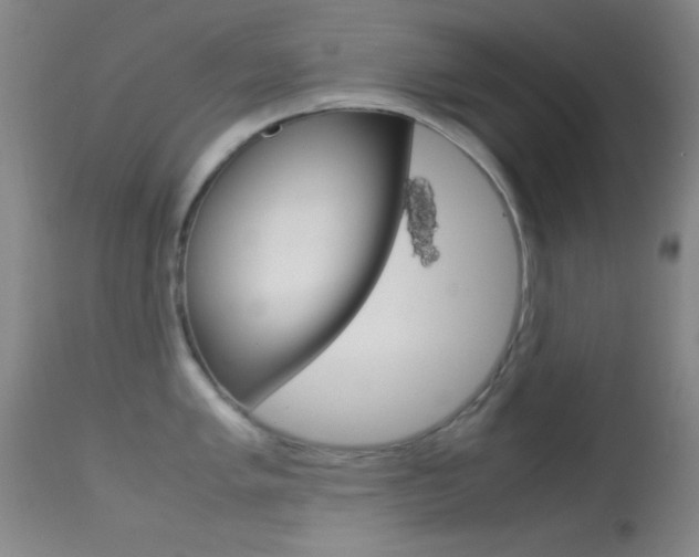 X0000113621005200909181111