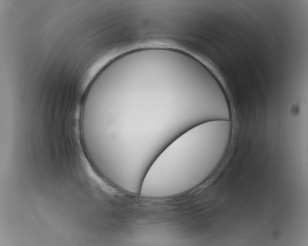 X0000113621006200909181111