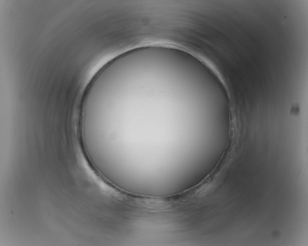 X0000113621007200909181111