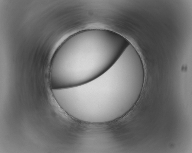 X0000113621008200909181111