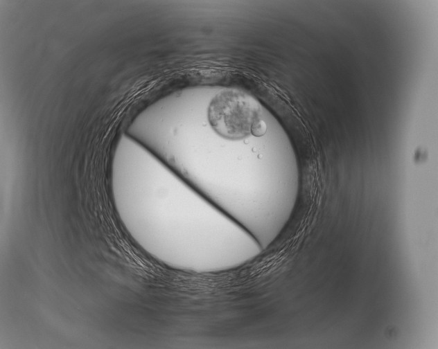 X0000113621009200909181110