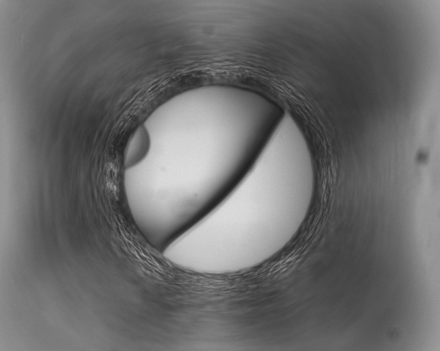 X0000113621010200909181110