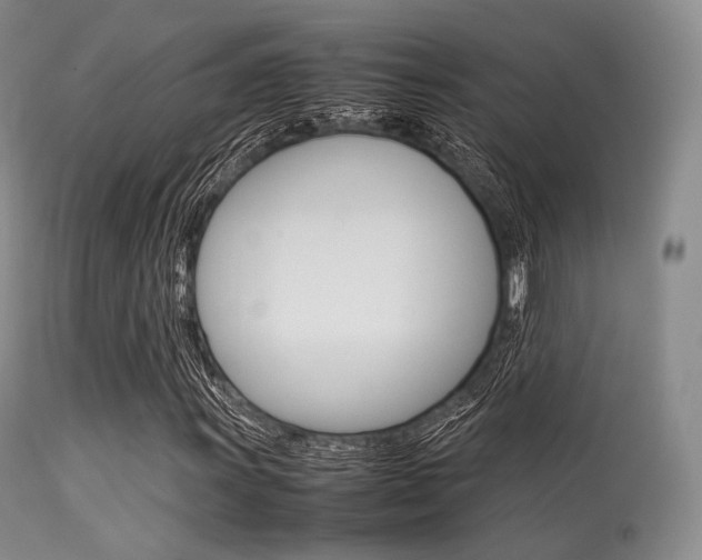 X0000113621011200909181110