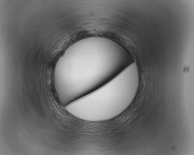 X0000113621012200909181110