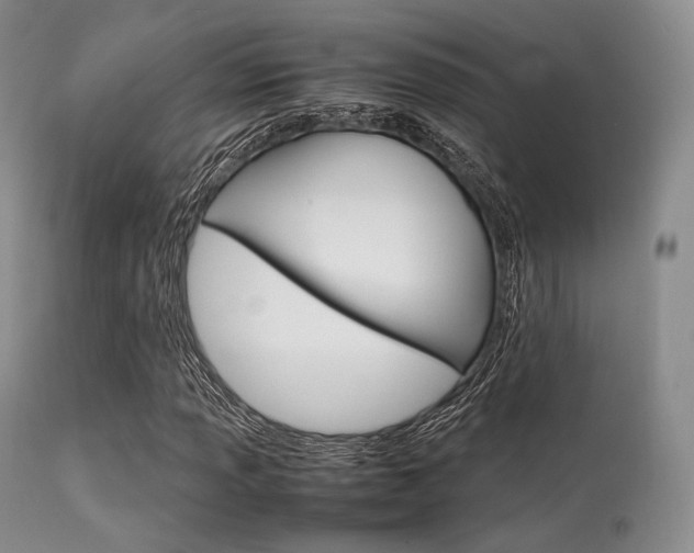 X0000113621013200909181110