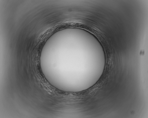 X0000113621014200909181110