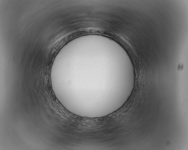 X0000113621015200909181110