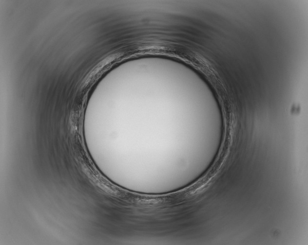 X0000113621017200909181110