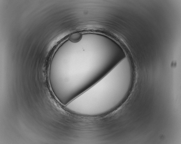 X0000113621018200909181110