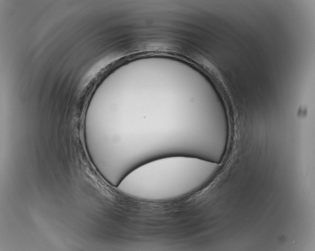 X0000113621019200909181110