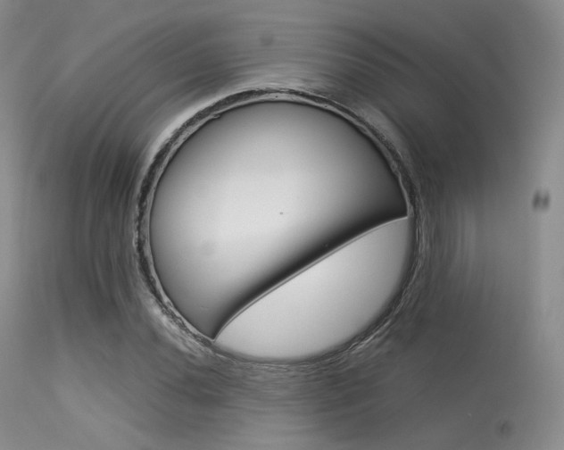 X0000113621020200909181111