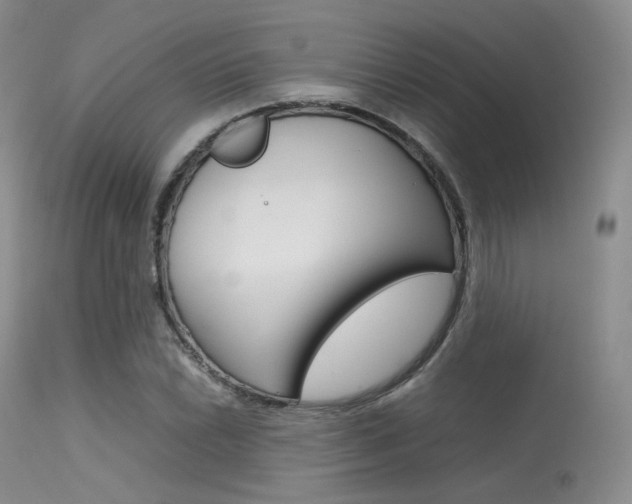 X0000113621022200909181111