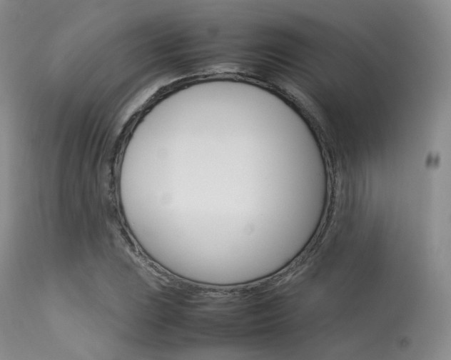 X0000113621023200909181111